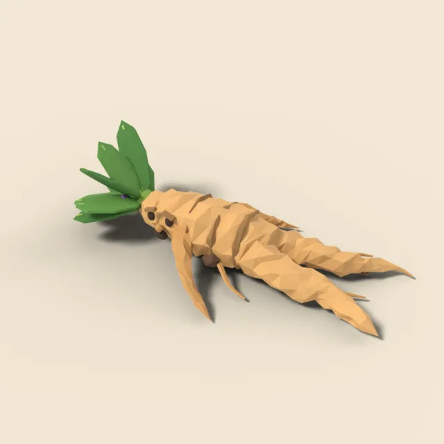 Mandrake root with leaves