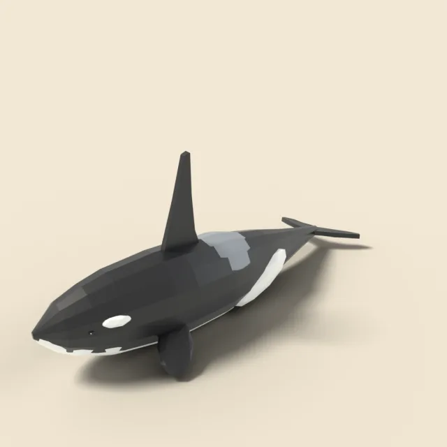 Swimming orca