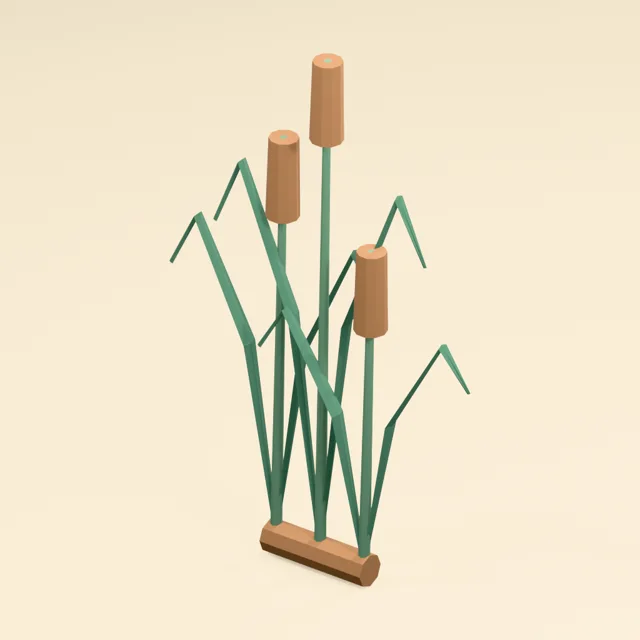 cattail_reeds_000
