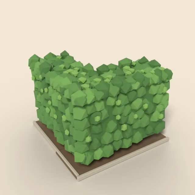 Trimmed boxwood hedge corner