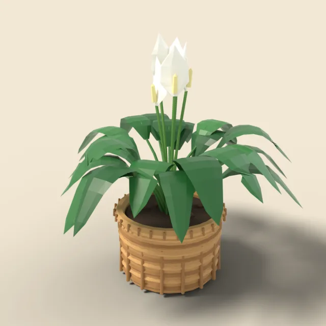 Peace lily in woven basket