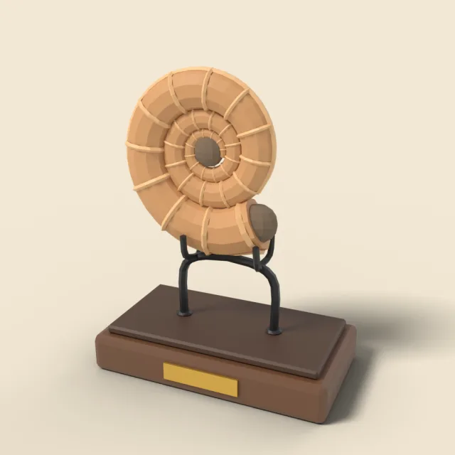 Fossil ammonite on stand