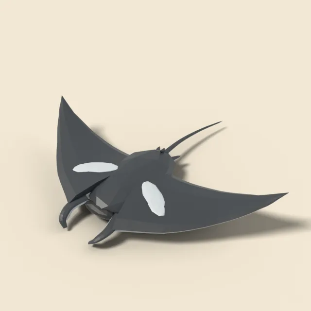 Gliding manta ray
