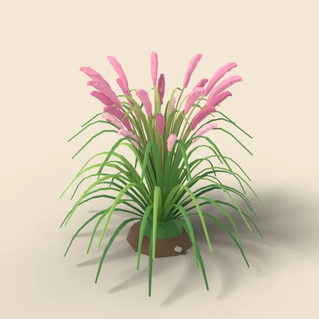 Fountain grass with pink plumes