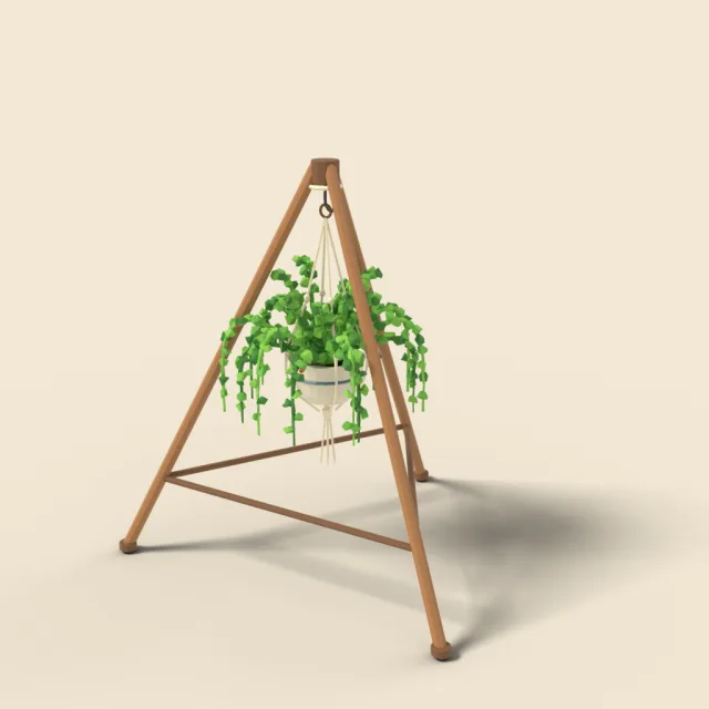 Asparagus fern in hanging pot