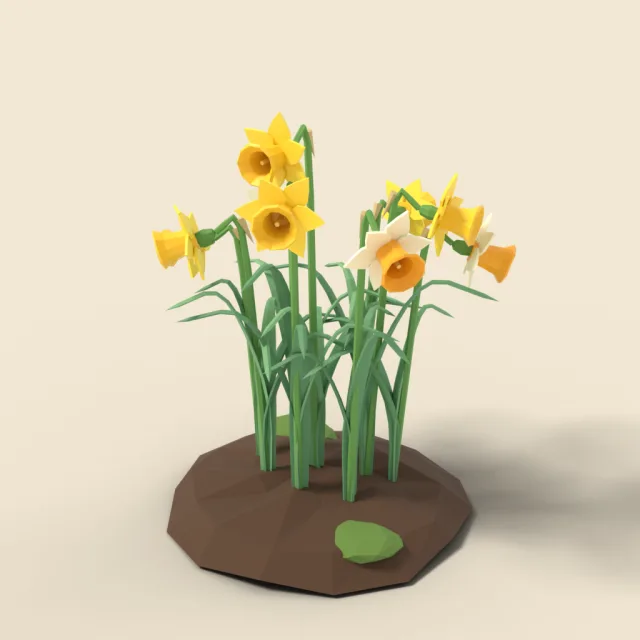 Daffodil clump with trumpet flowers